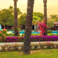 Transfer from Antalya Airport to Calimera Serra Palace