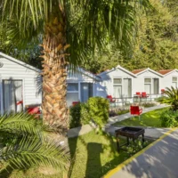 Transfer from Antalya Airport to Side Altinkum Bungalow Hotel